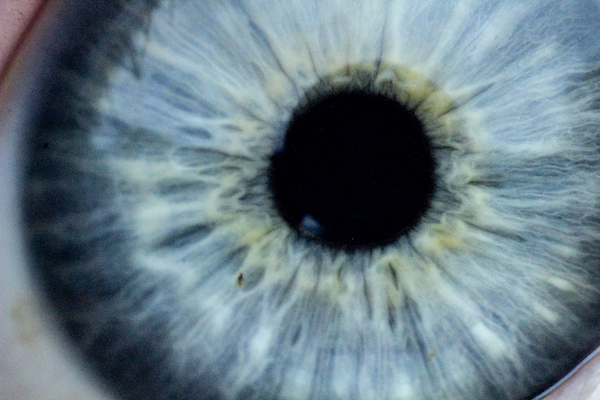 A close up photograph of a human eye